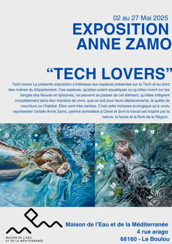 Exposition Tech Lovers MEM Le Boulou
