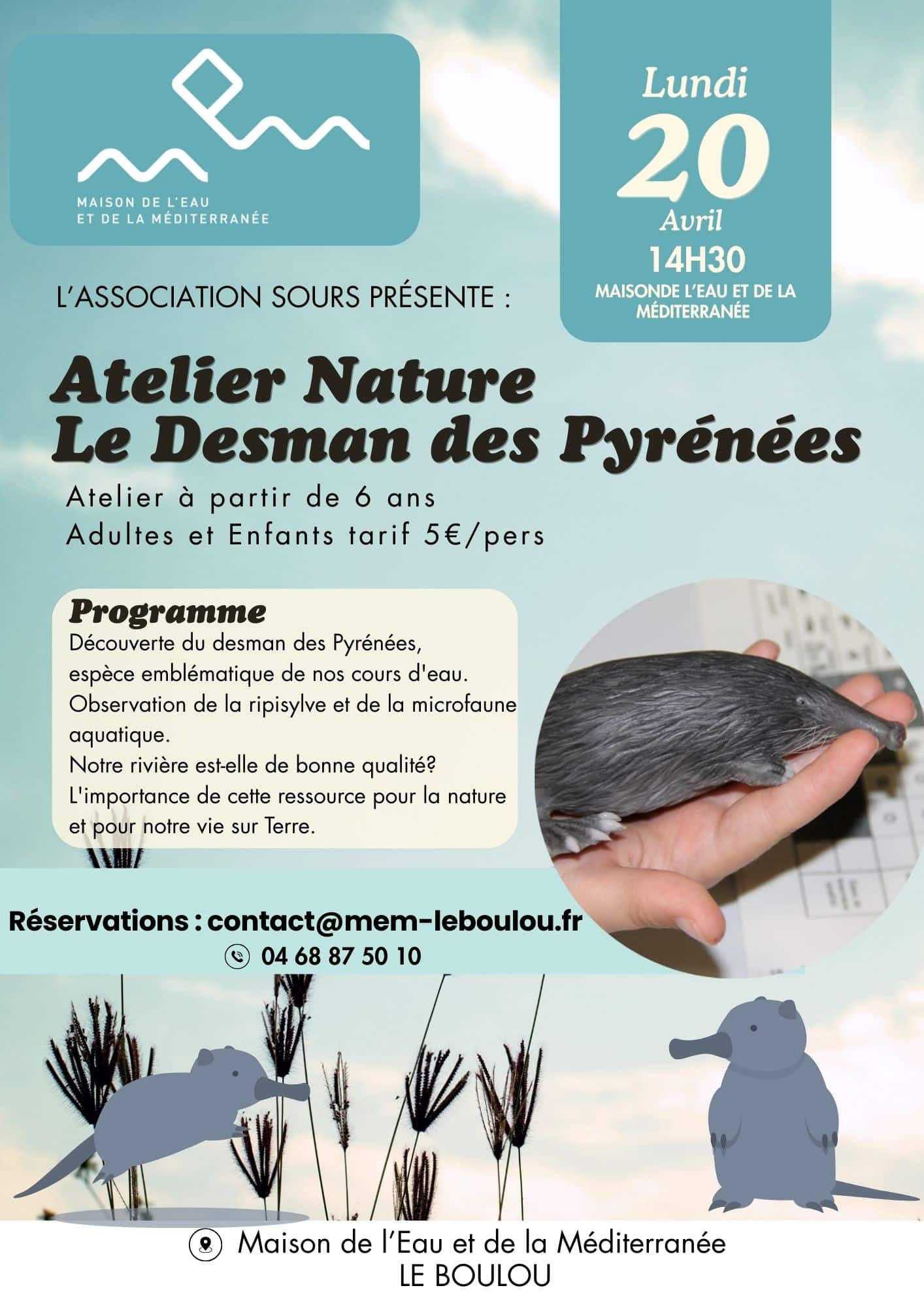 Atelier Desman des Pyrénées MEM Le Boulou