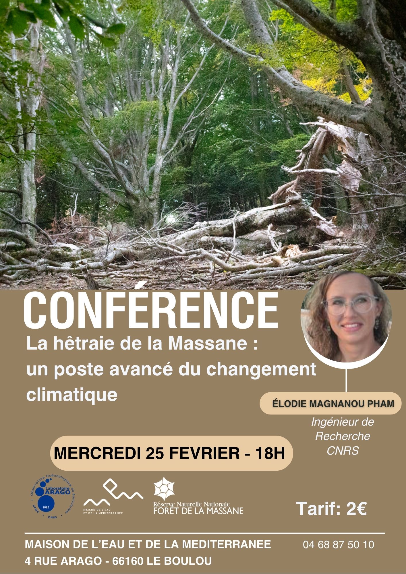Conférence 25 février hêtraie de la Massane MEM Le Boulou