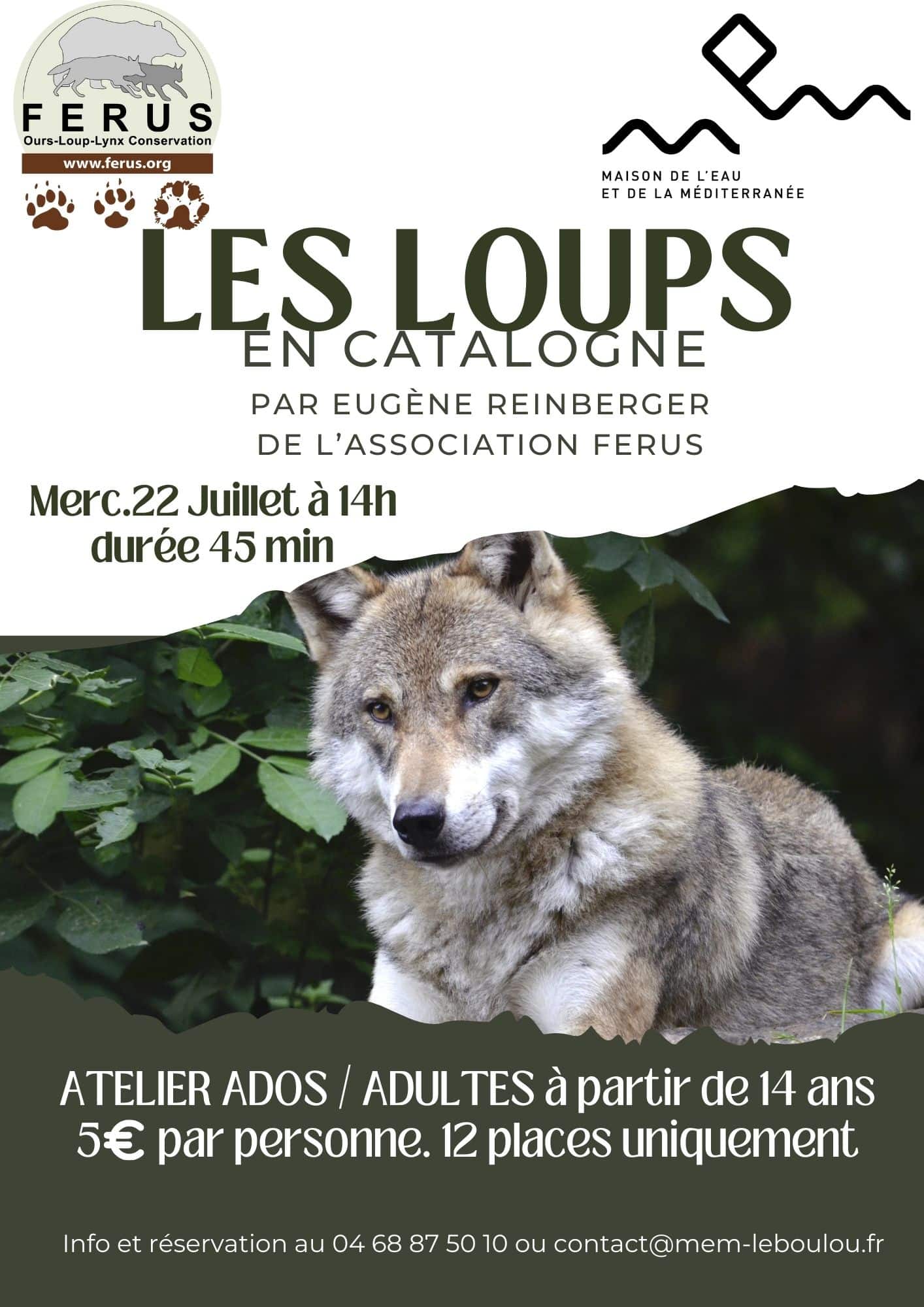 Atelier Loup 22 juillet 2026 MEM Le Boulou